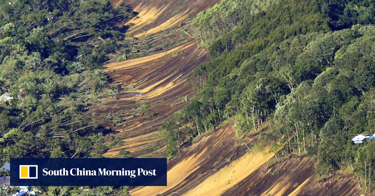 The Forest Awakes: Landscape and Imagery of Japan